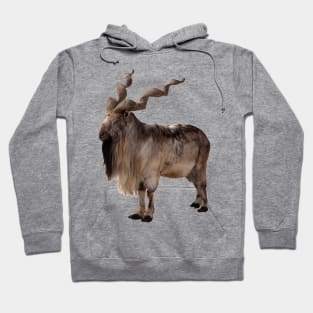 Wild Markhoor Hoodie